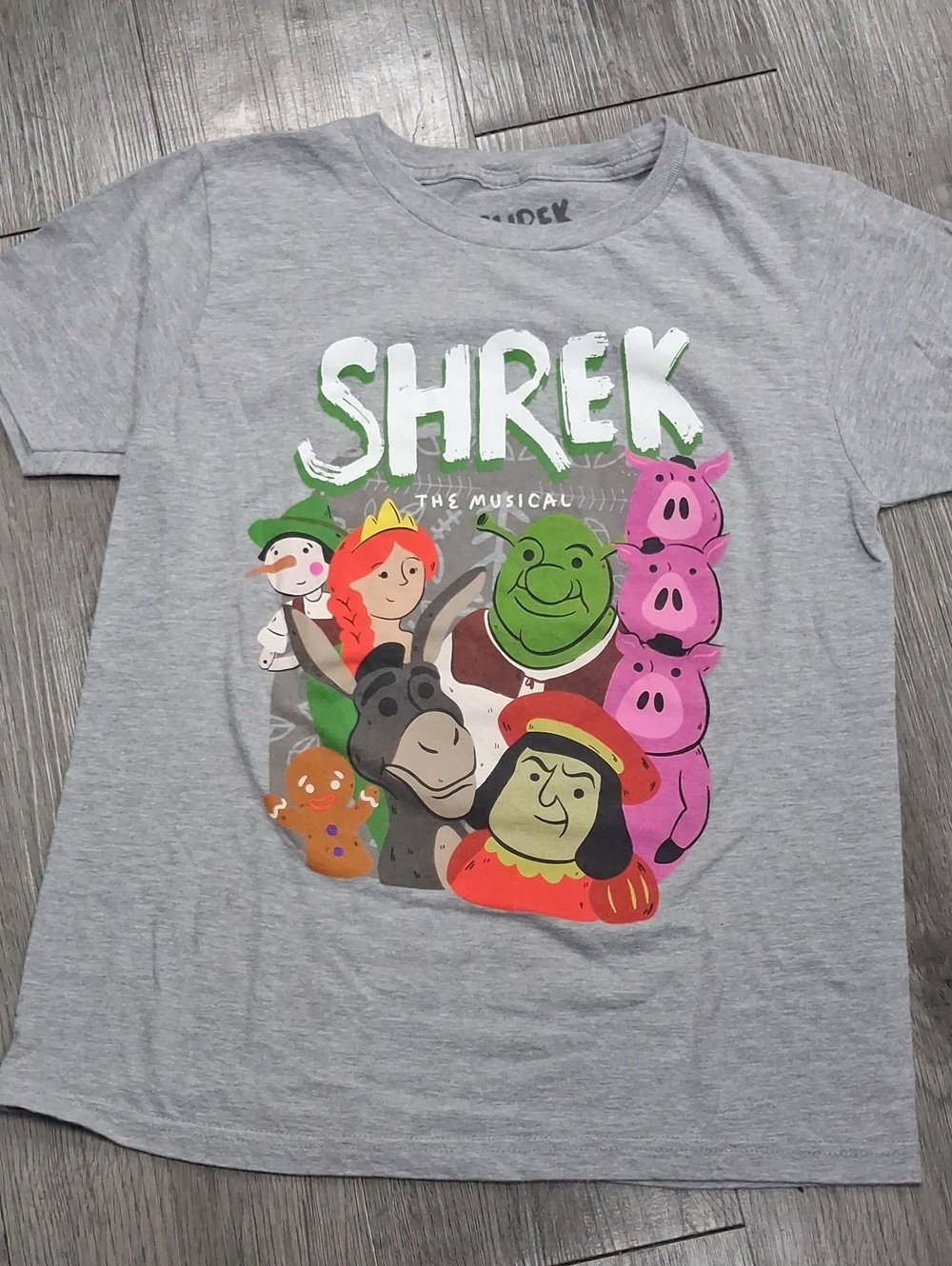Shrek Graphic Kids T-Shirt - Grey
